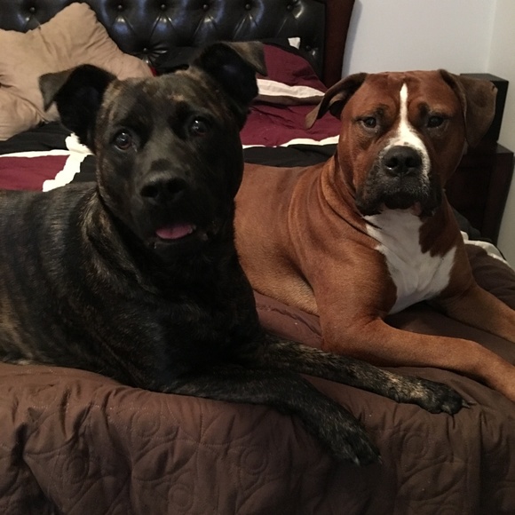 I'm Richard nice to meet you! - Picture 4 of 6